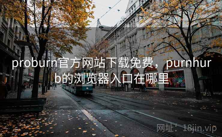 proburn官方网站下载免费，purnhurb的浏览器入口在哪里